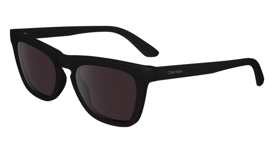 CALVIN KLEIN Sunglasses CK23535S 1 53