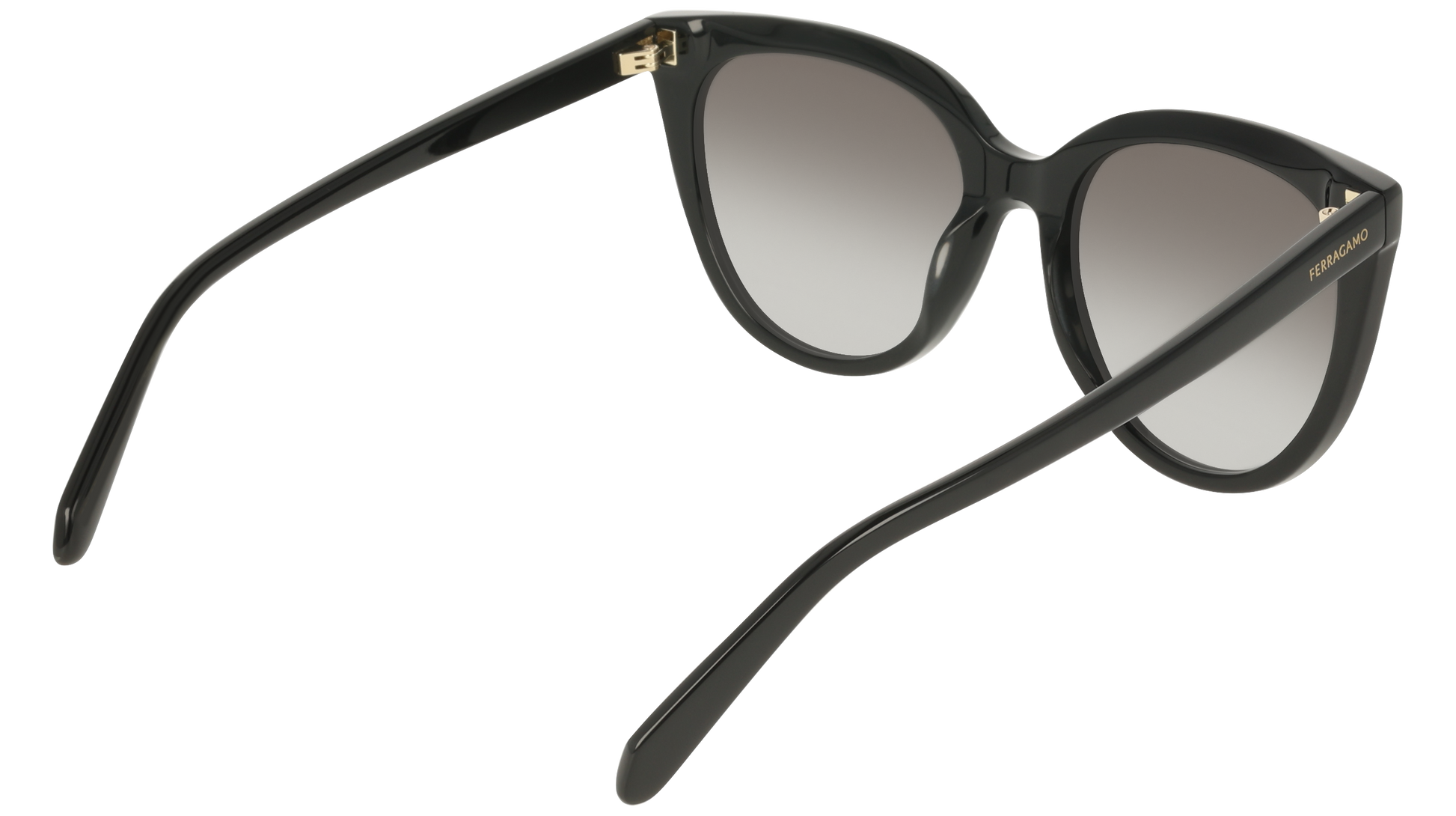 Ferragamo SF2101S 1