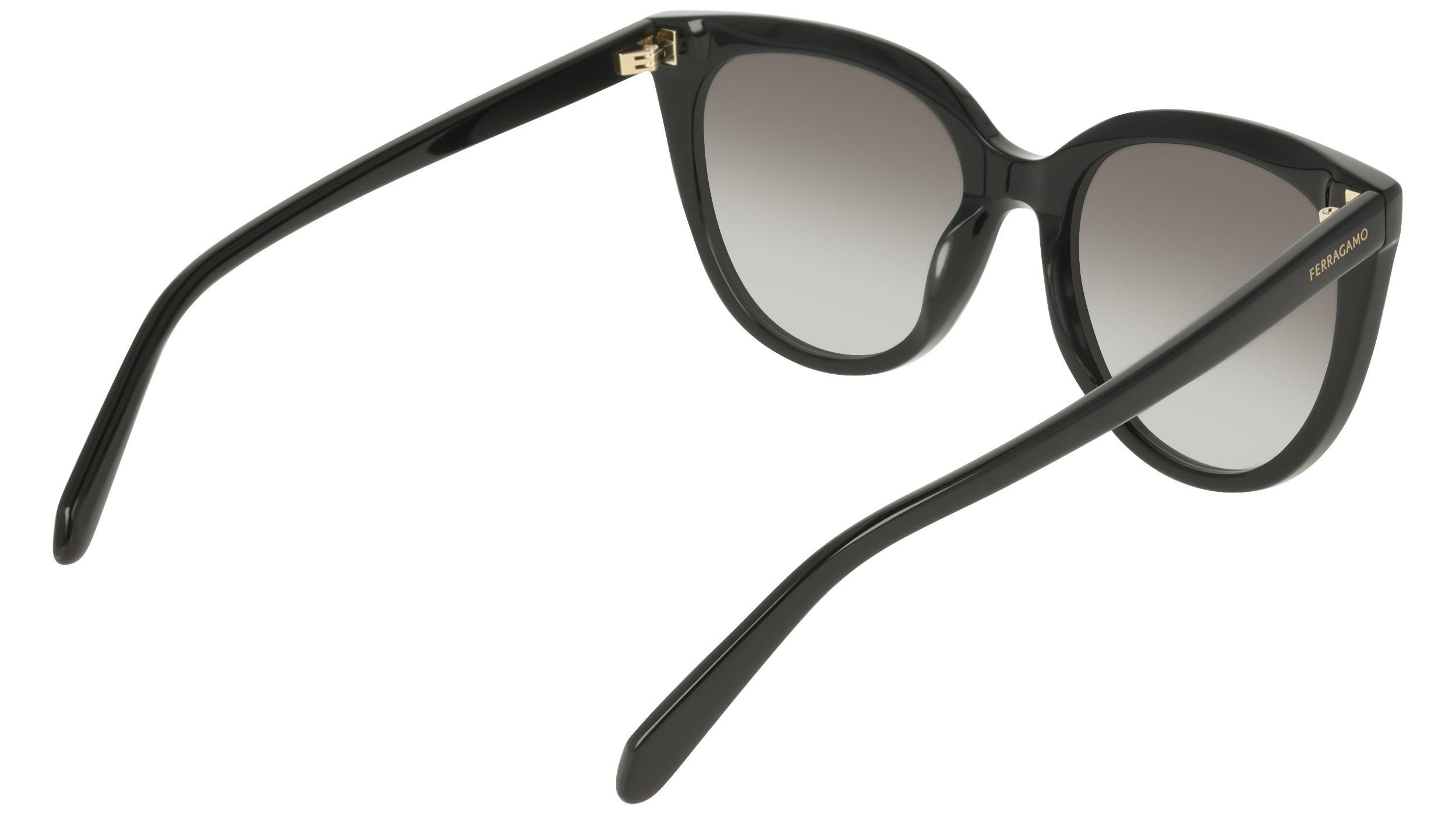 Ferragamo SF2101S 1