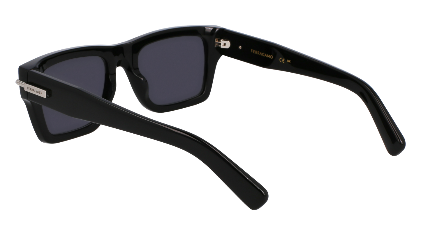 FERRAGAMO Sunglasses SF2033S 1 53