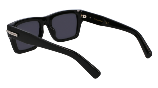 FERRAGAMO Sunglasses SF2033S 1 53