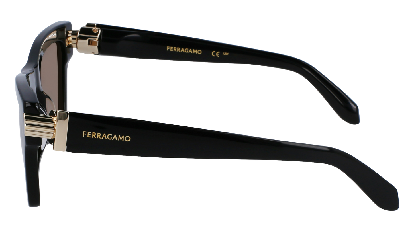 FERRAGAMO Sunglasses SF2013S 11 52