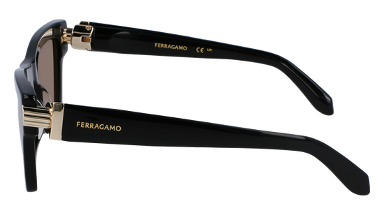 FERRAGAMO Sunglasses SF2013S 11 52