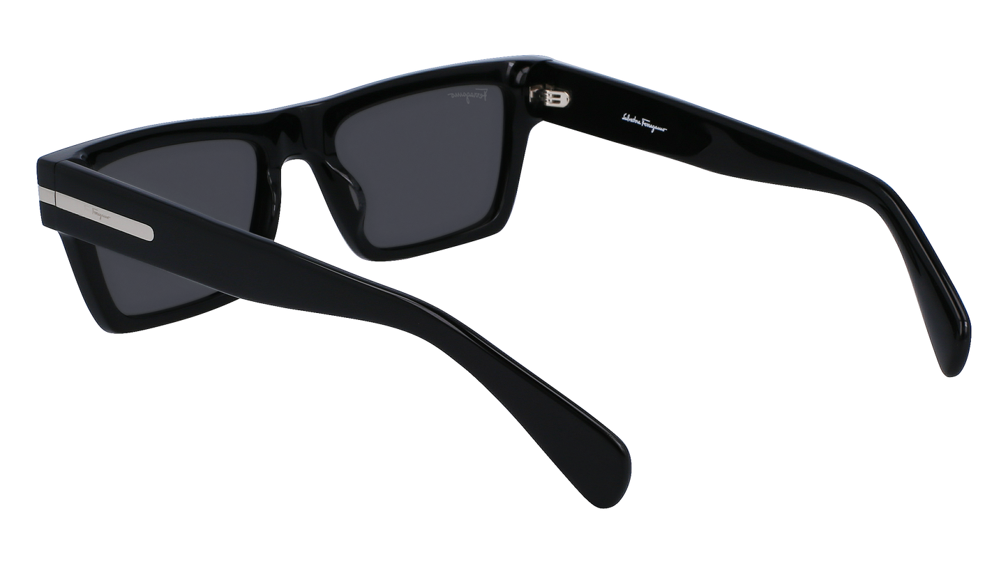 FERRAGAMO Sunglasses SF1086S 1 54