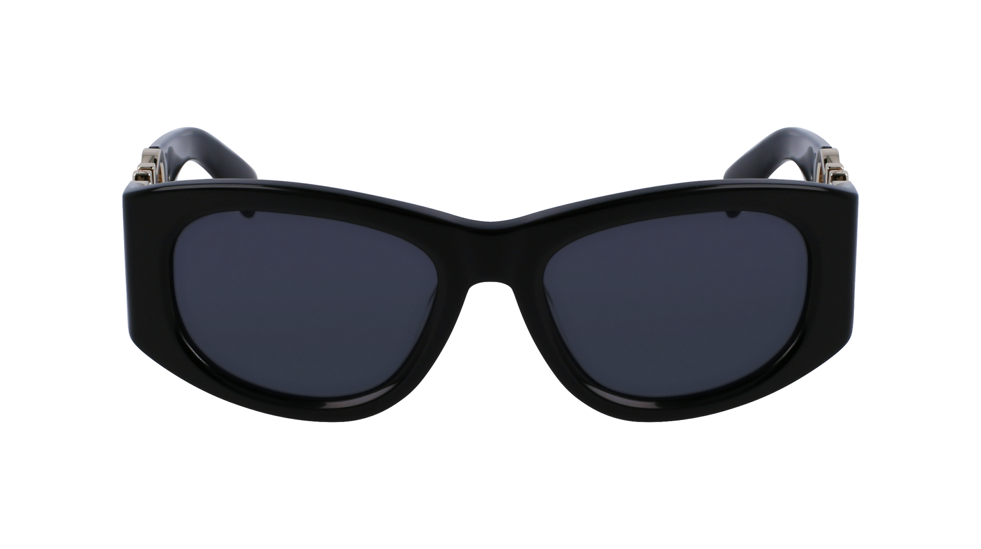 FERRAGAMO Sunglasses SF1082SN 1 53