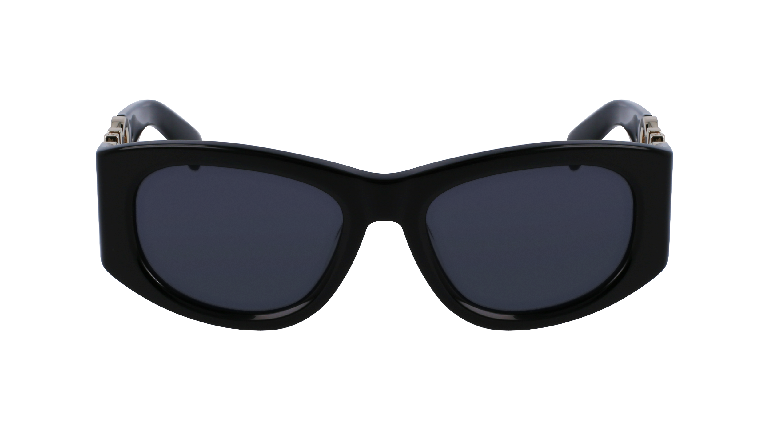 FERRAGAMO Sunglasses SF1082SN 1 53