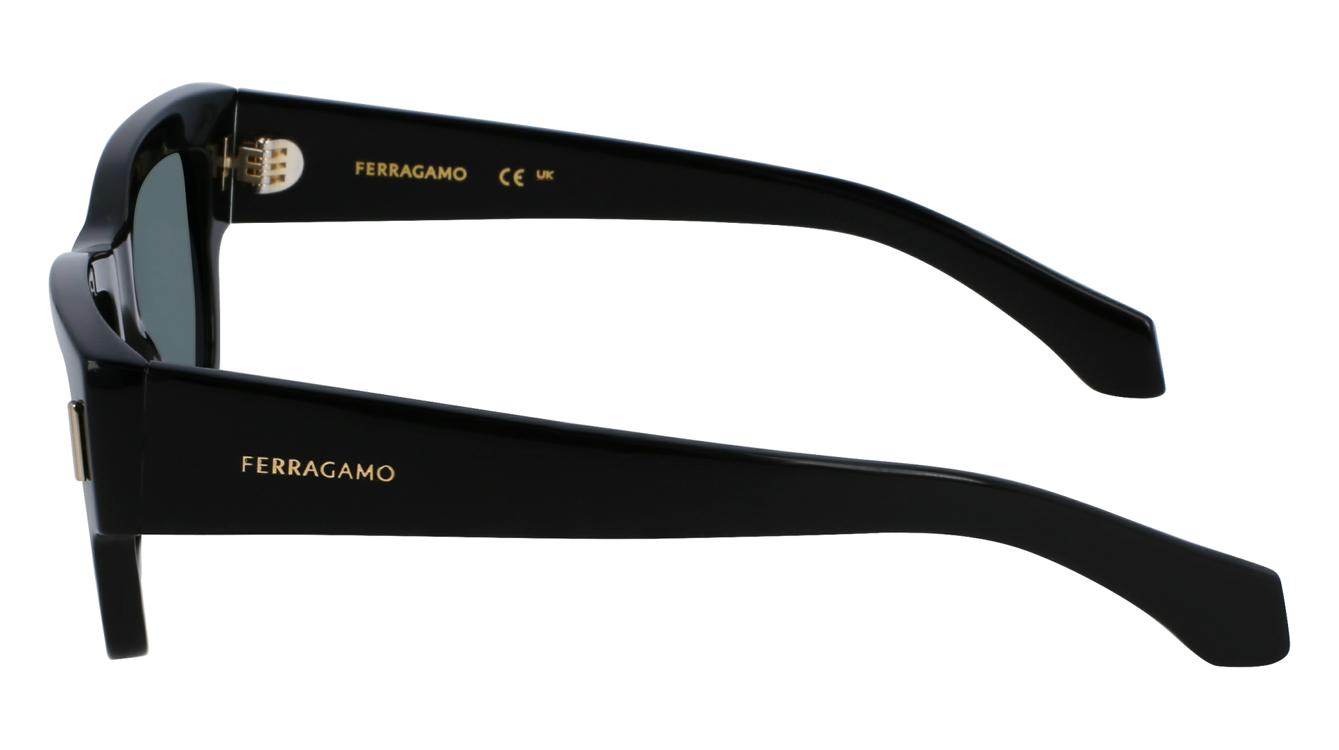 FERRAGAMO Sunglasses SF2011S 1 53