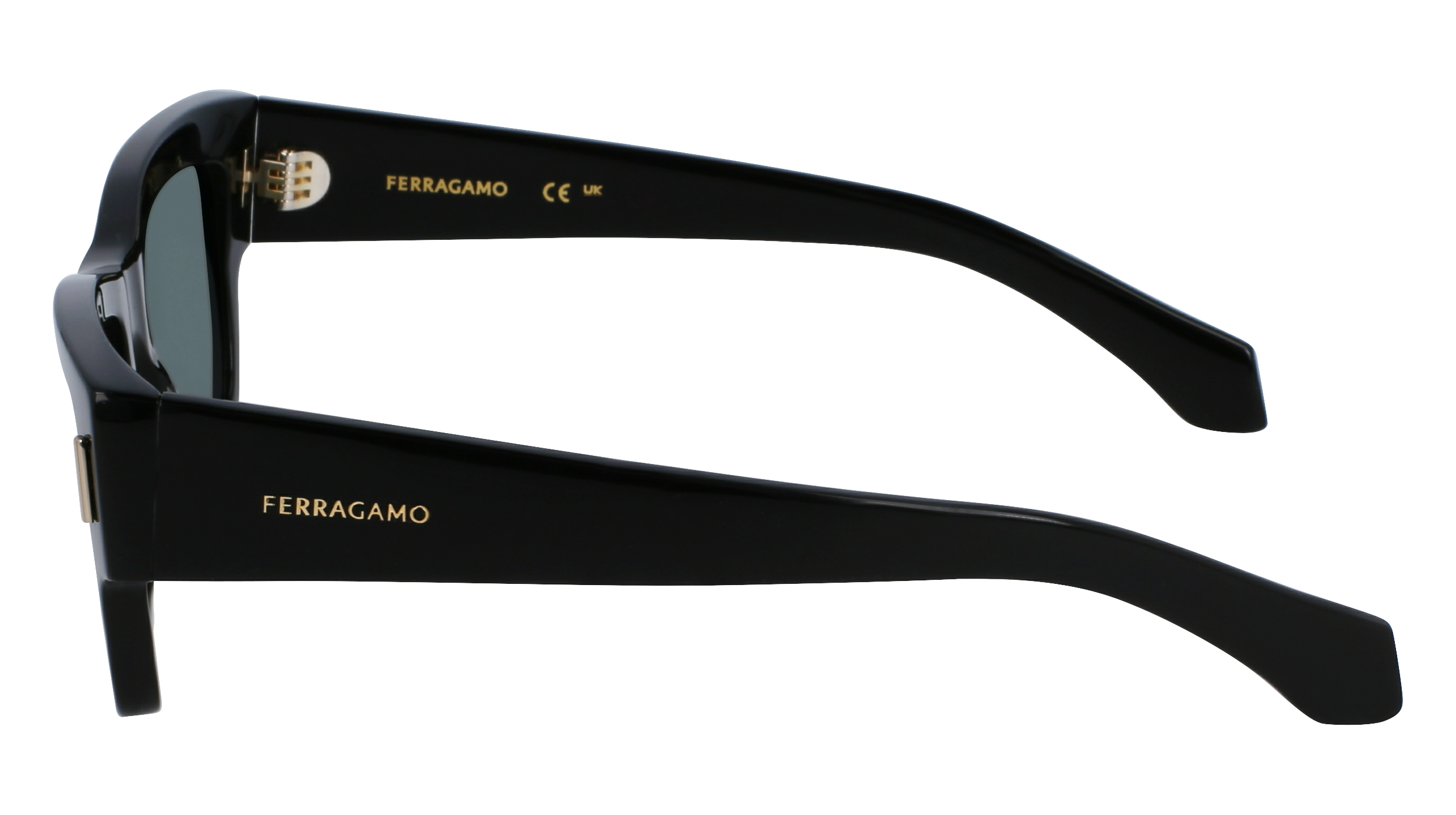FERRAGAMO Sunglasses SF2011S 1 53