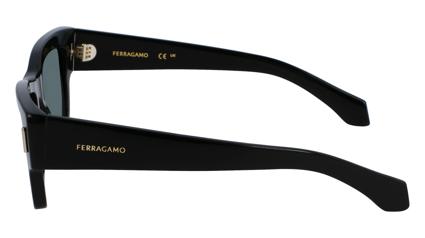 FERRAGAMO Sunglasses SF2011S 1 53