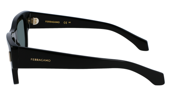 FERRAGAMO Sunglasses SF2011S 1 53