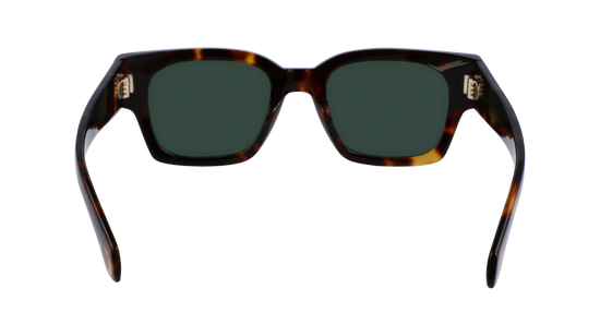 FERRAGAMO Sunglasses SF2010S 242 52