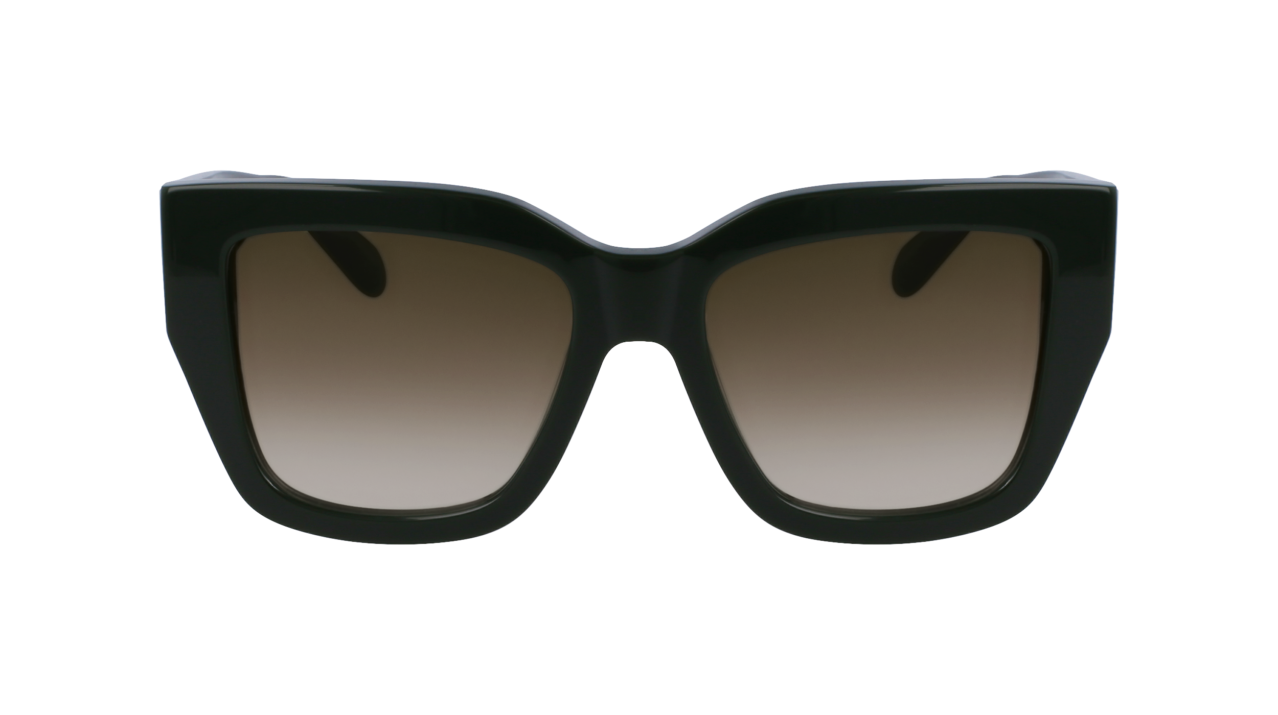 FERRAGAMO Sunglasses SF1104S 302 55