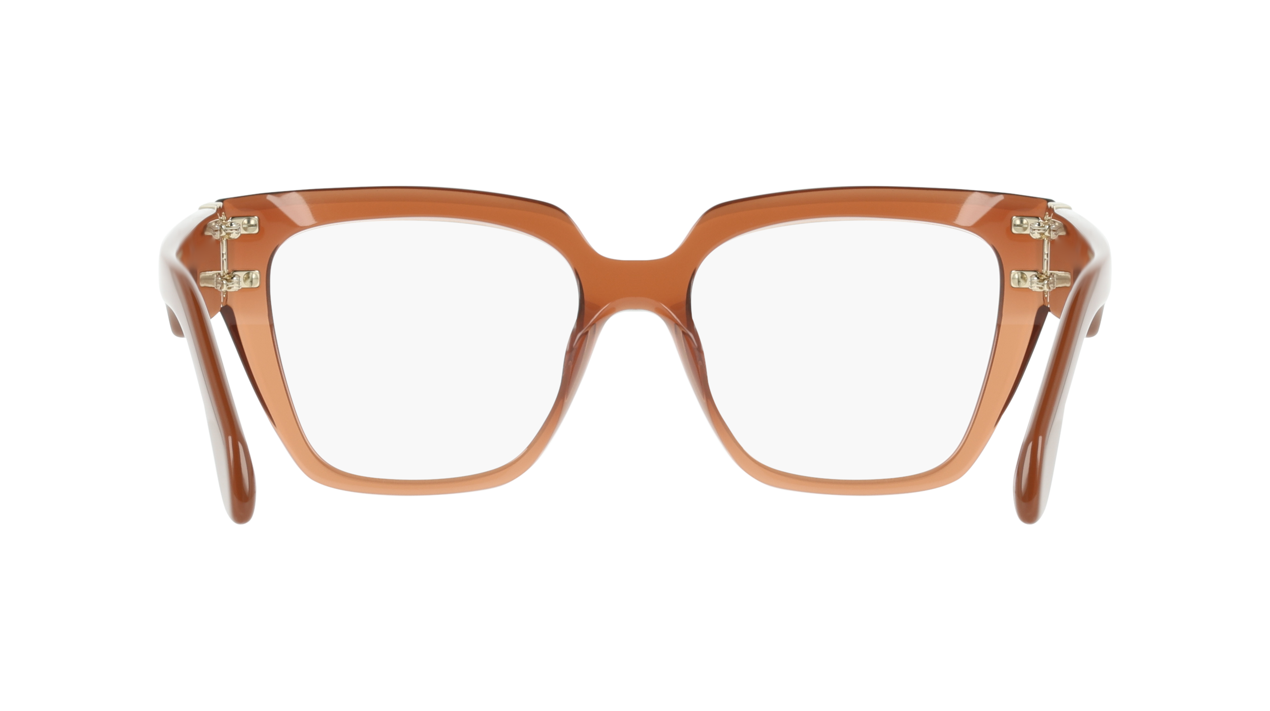 Ferragamo SF3041E 261