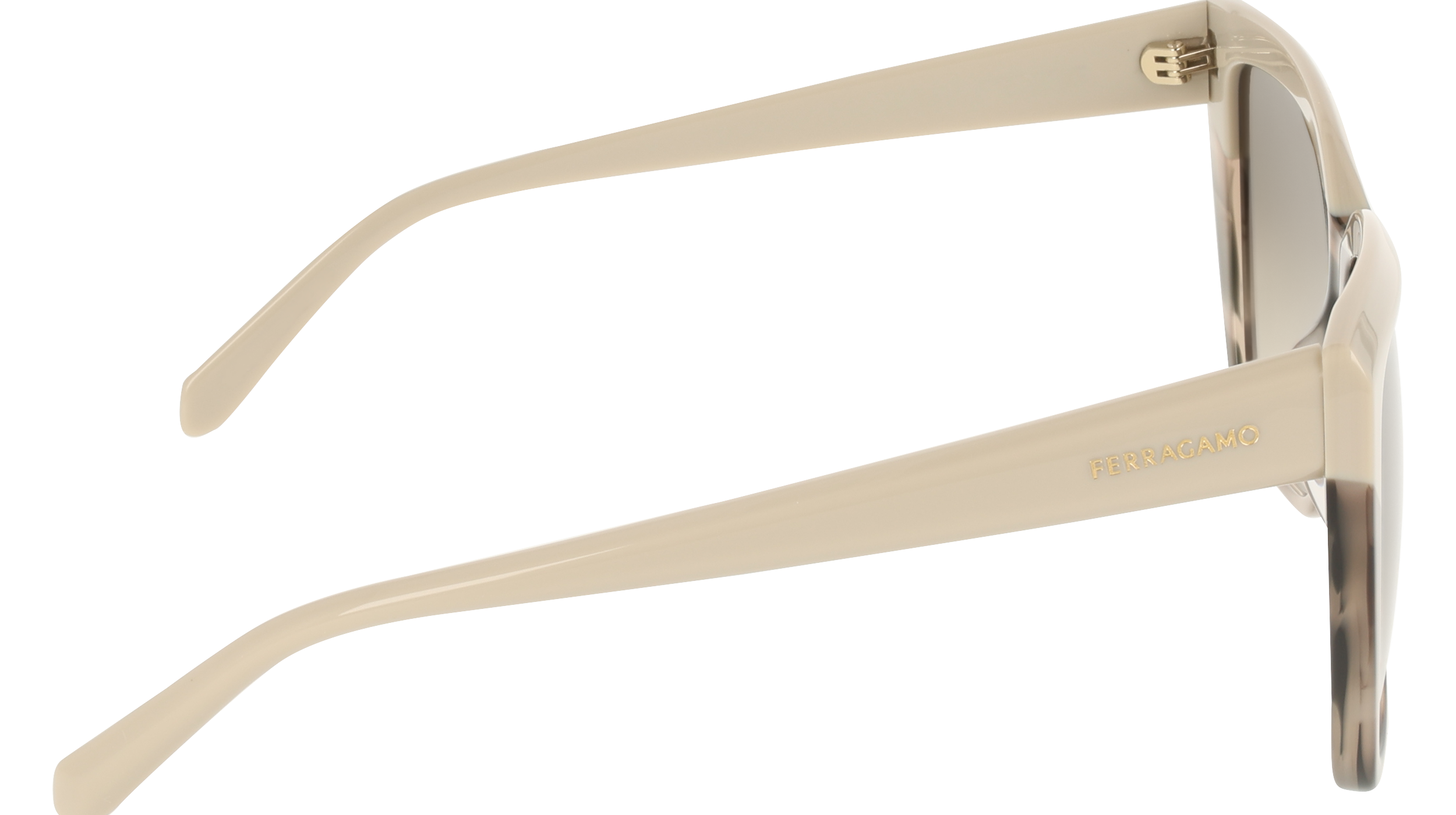 Ferragamo SF1102S 251