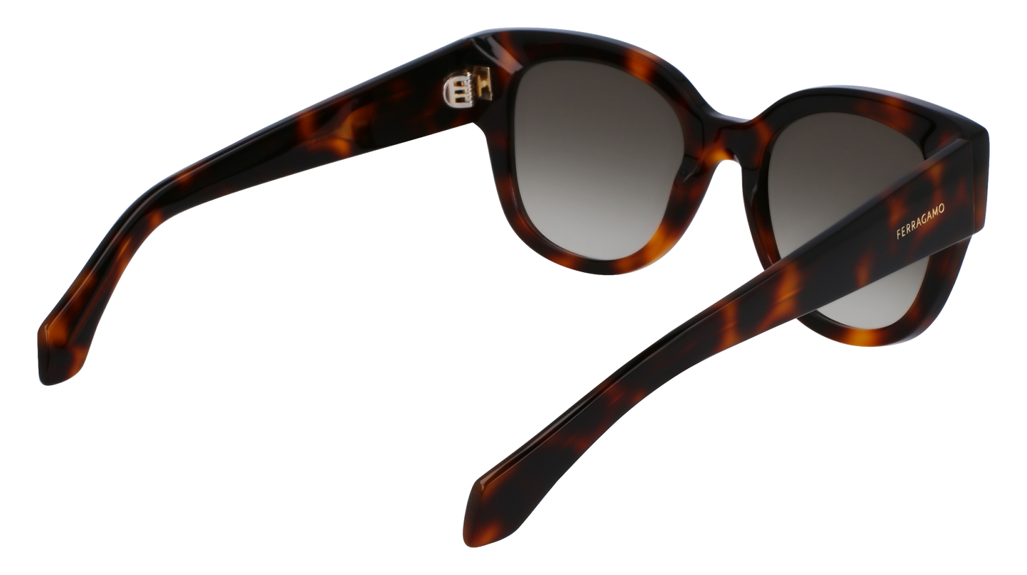 FERRAGAMO Sunglasses SF2007S 240 51