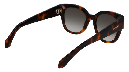 FERRAGAMO Sunglasses SF2007S 240 51