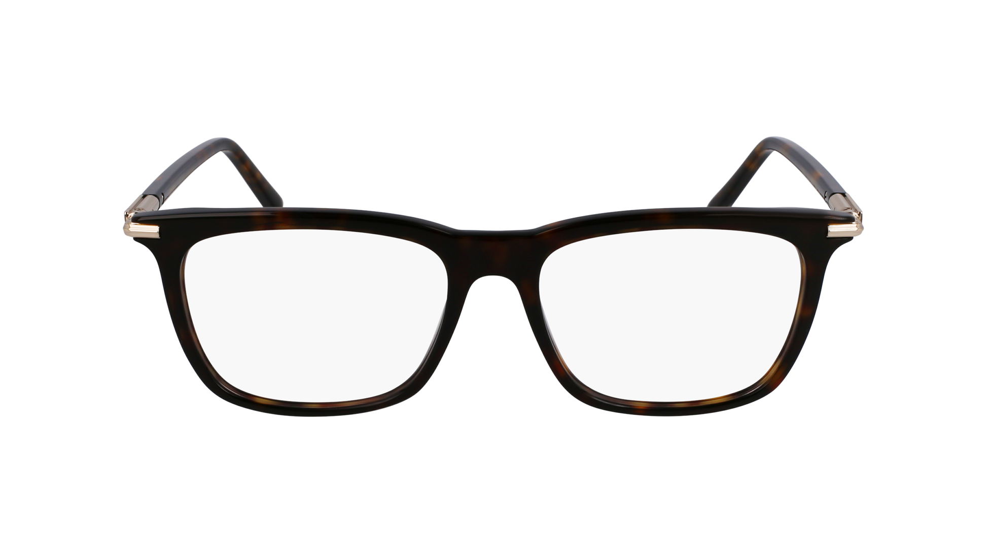 FERRAGAMO Eyeglasses SF3007 242 56