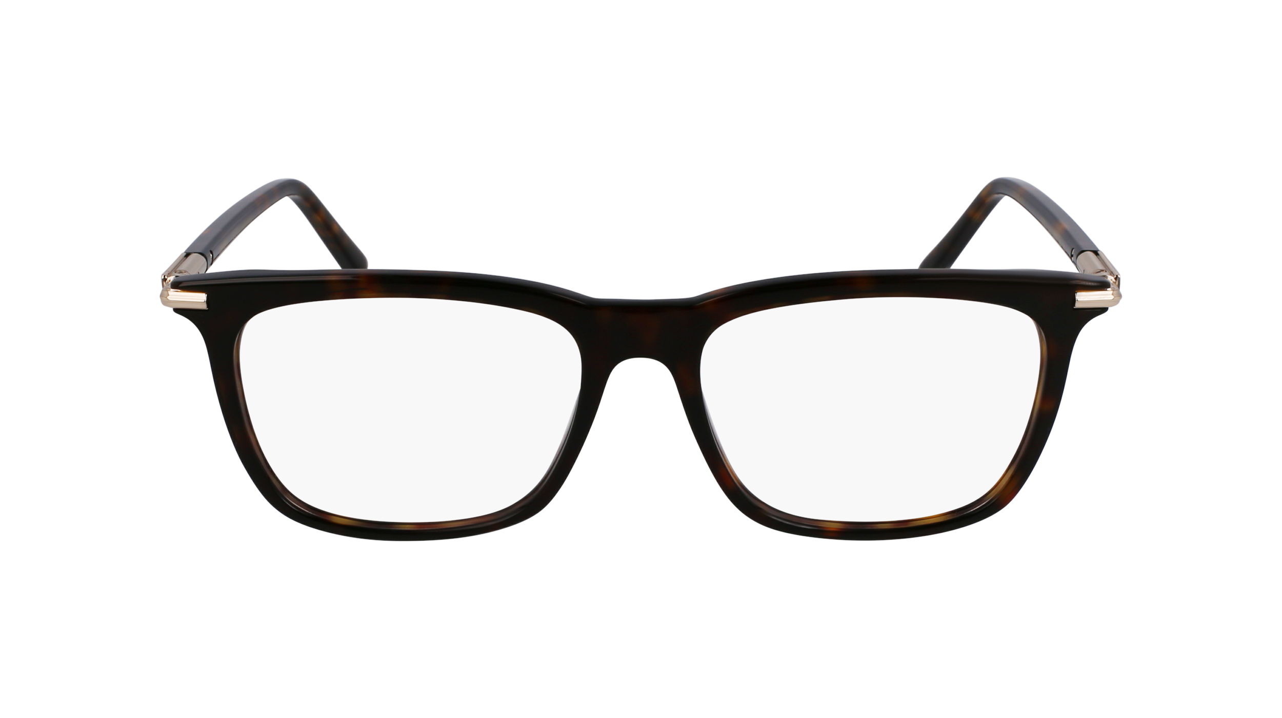 FERRAGAMO Eyeglasses SF3007 242 56