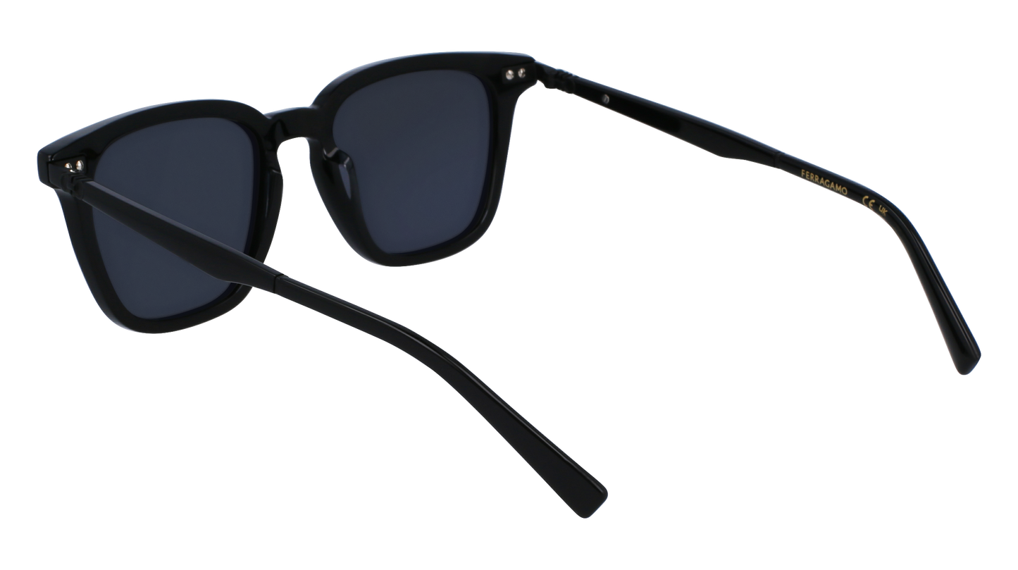 FERRAGAMO Sunglasses SF1100S 1 52