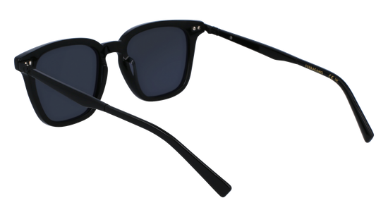 FERRAGAMO Sunglasses SF1100S 1 52