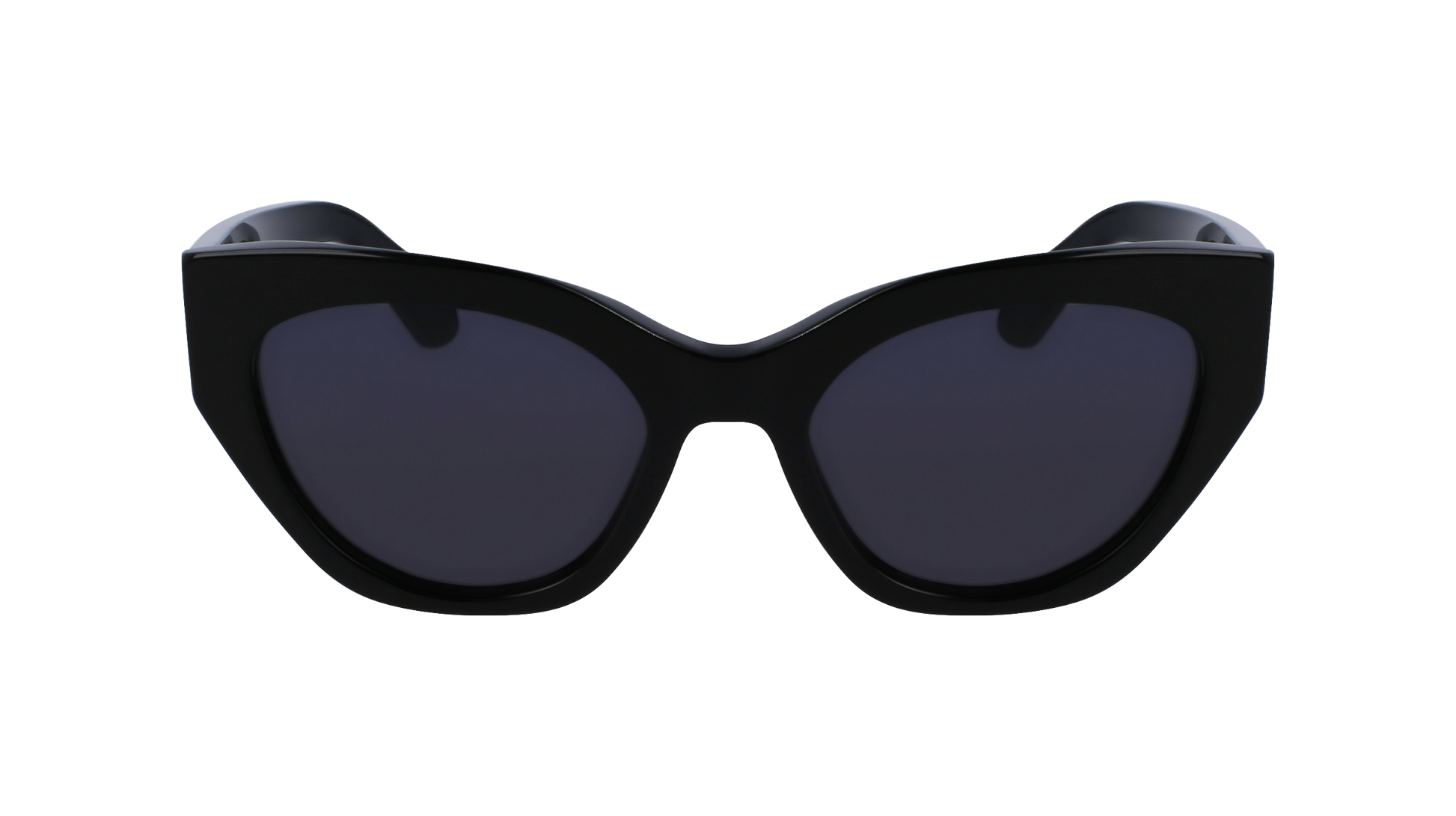 FERRAGAMO Sunglasses SF1107S 1 55