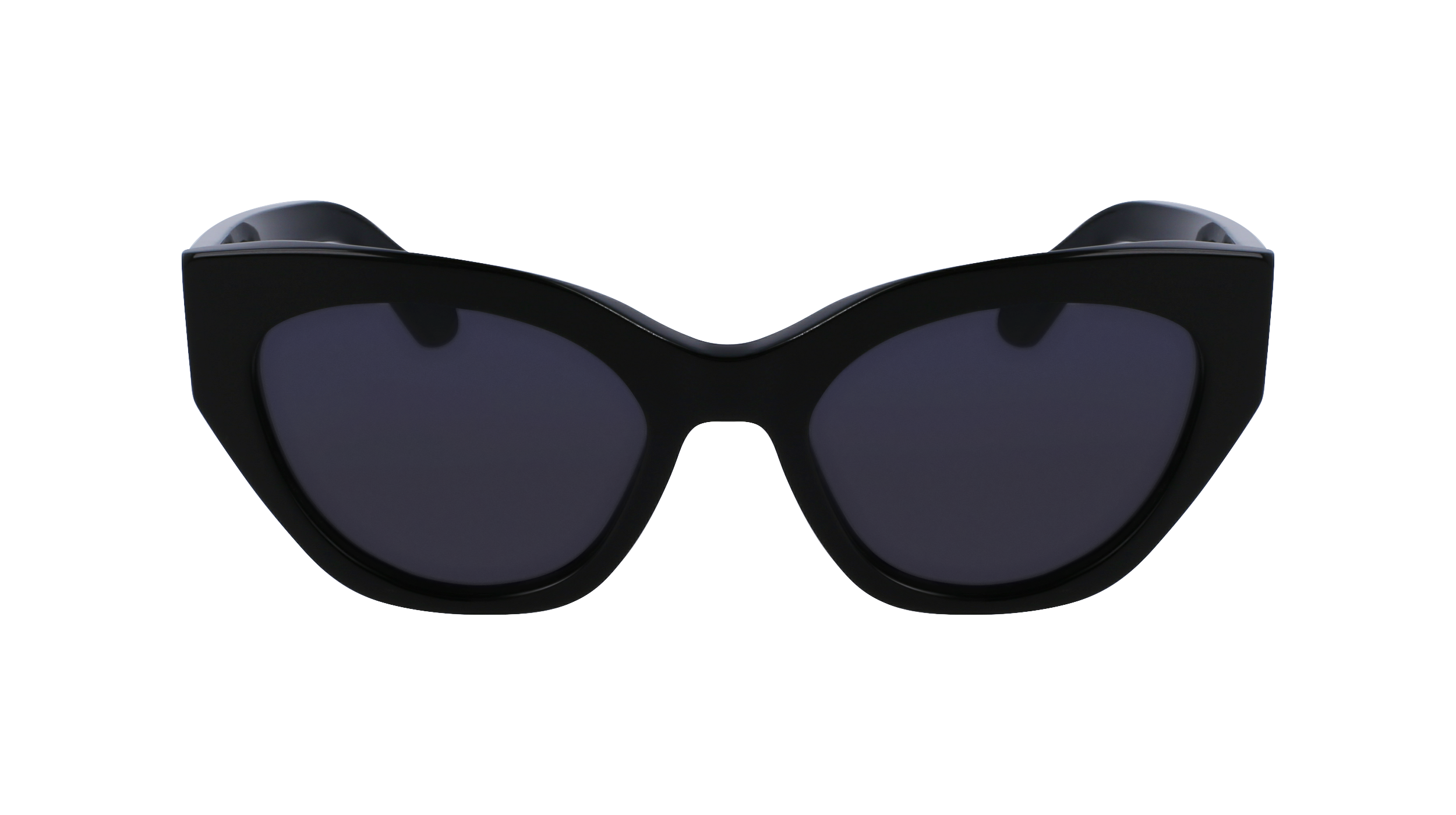 FERRAGAMO Sunglasses SF1107S 1 55