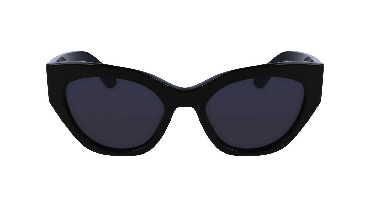 FERRAGAMO Sunglasses SF1107S 1 55