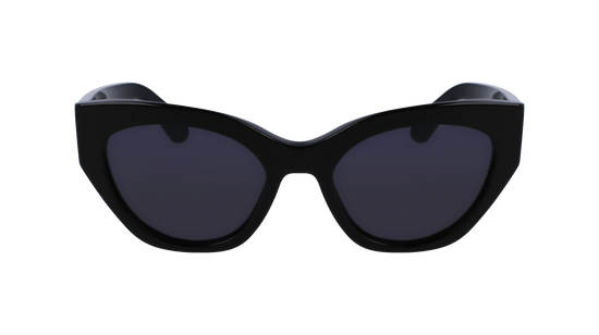 FERRAGAMO Sunglasses SF1107S 1 55