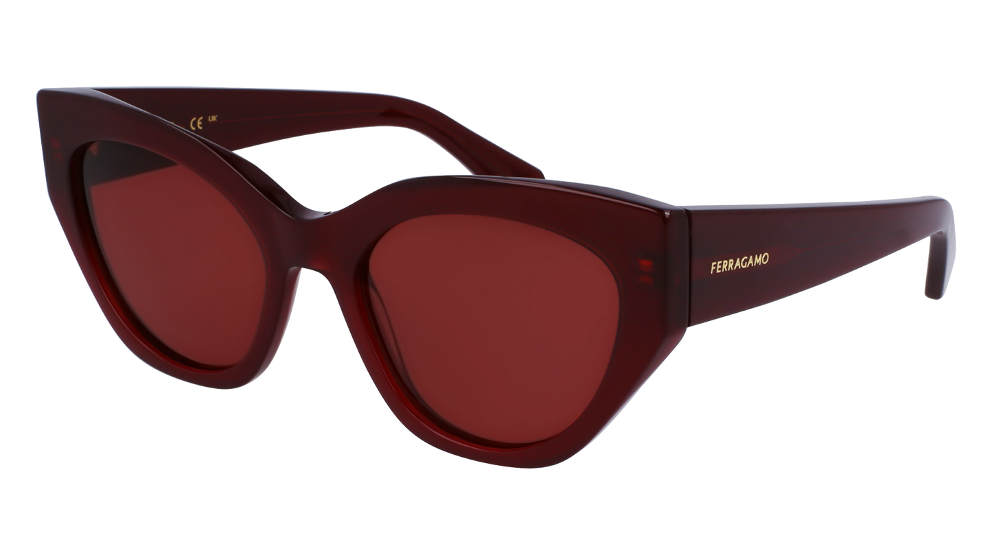 FERRAGAMO Sunglasses SF1107S 653 55