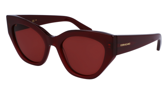 FERRAGAMO Sunglasses SF1107S 653 55