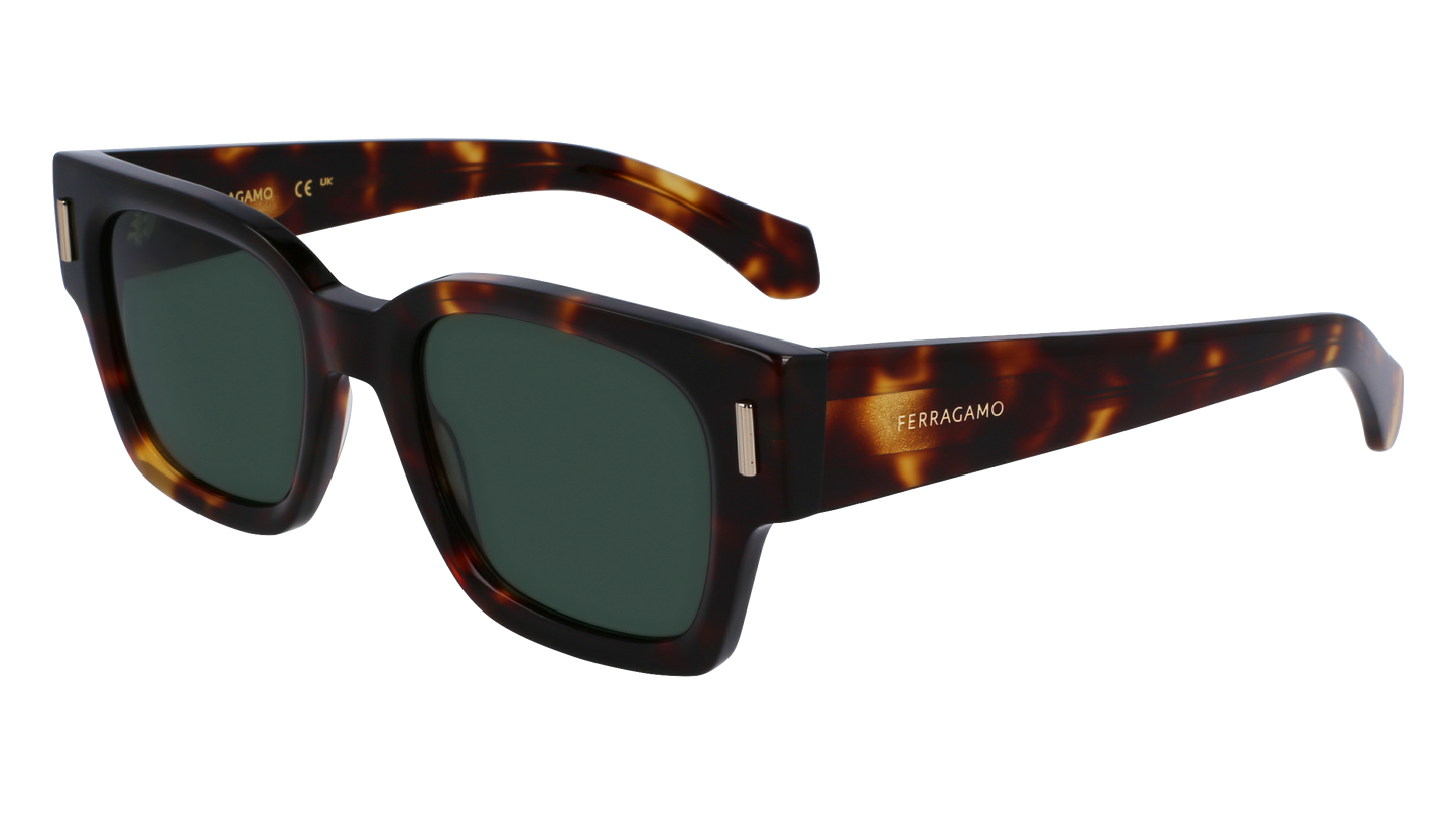 FERRAGAMO Sunglasses SF2010S 242 52