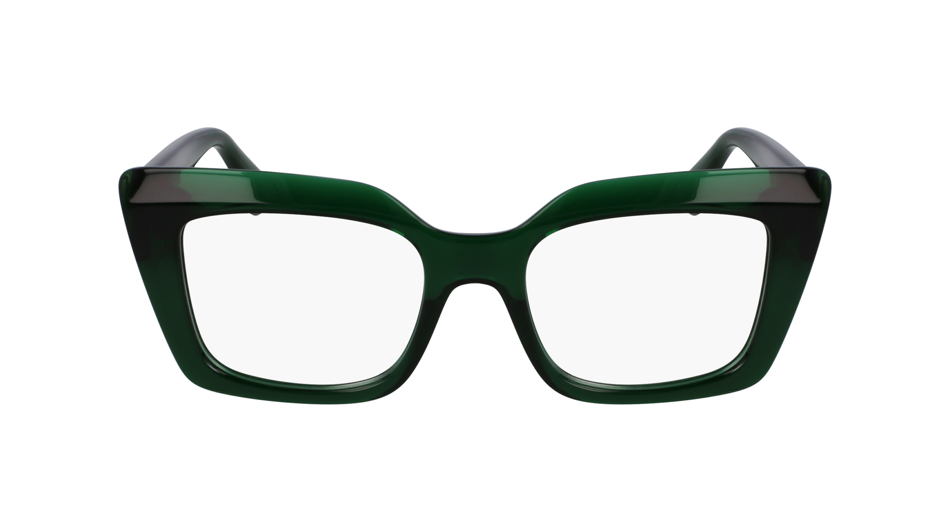 FERRAGAMO Eyeglasses SF3008 317 50