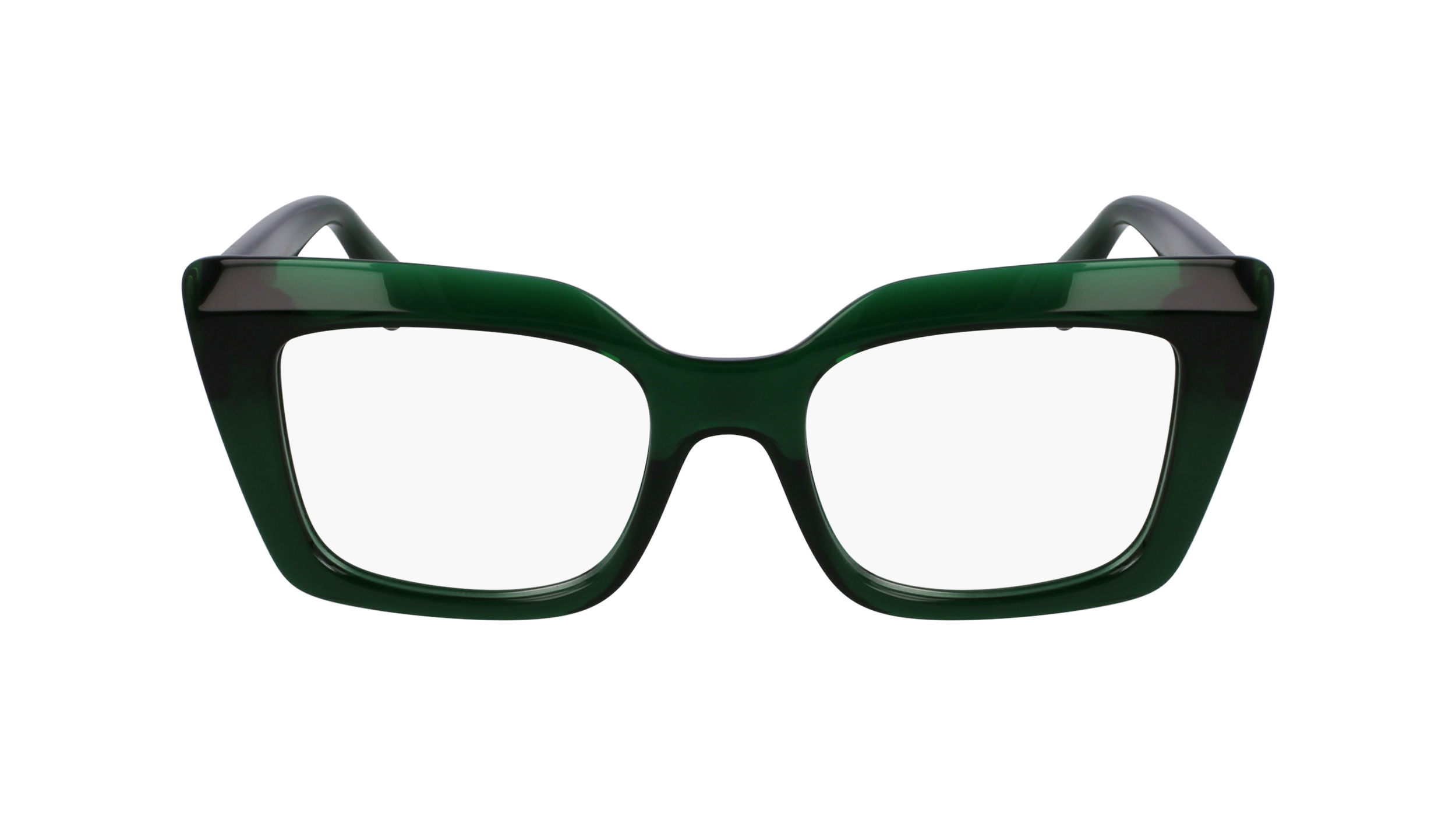 FERRAGAMO Eyeglasses SF3008 317 50