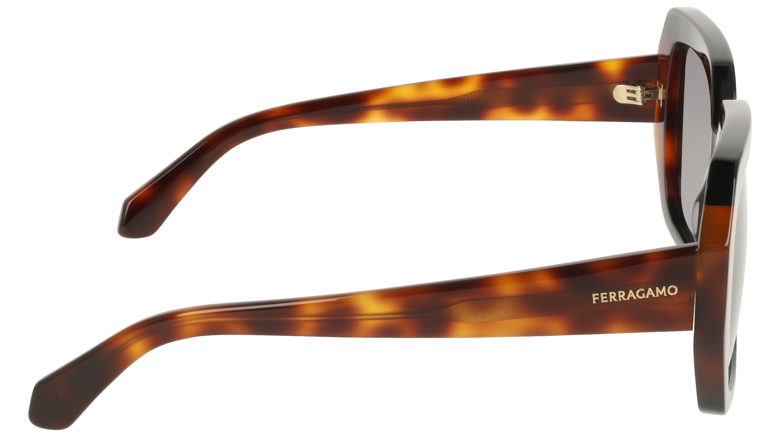 Ferragamo SF2081S 6