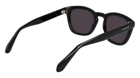 FERRAGAMO Sunglasses SF2040SE 1 50