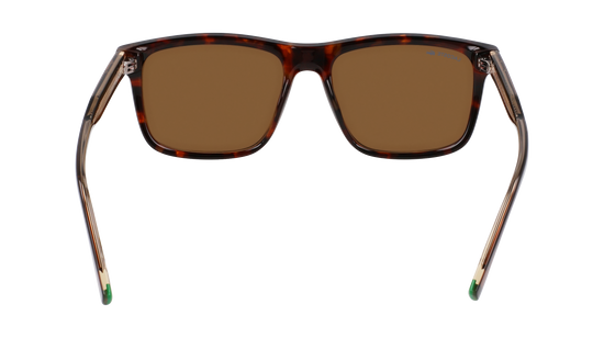 LACOSTE Sunglasses L6025S 219 56