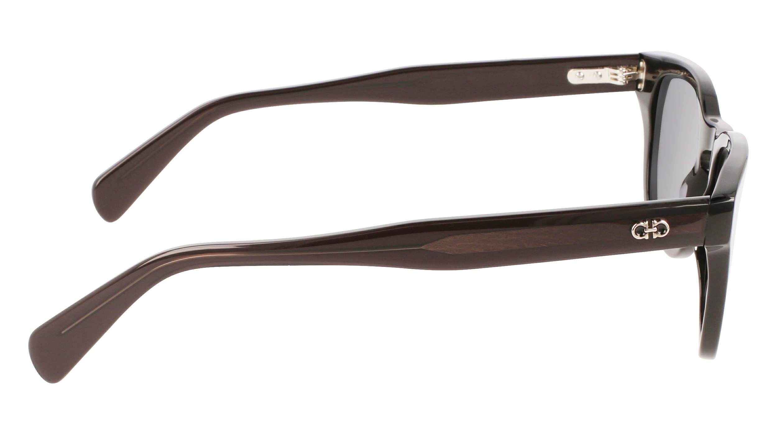 FERRAGAMO Sunglasses SF1057S 1 49