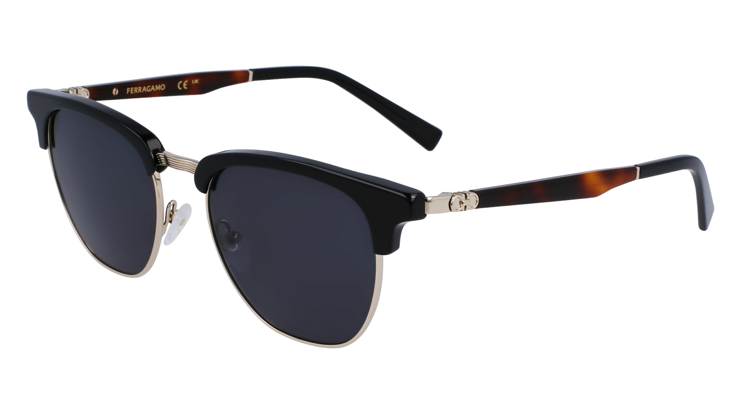 FERRAGAMO Sunglasses SF307S 11 53