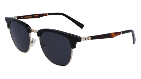 FERRAGAMO Sunglasses SF307S 11 53