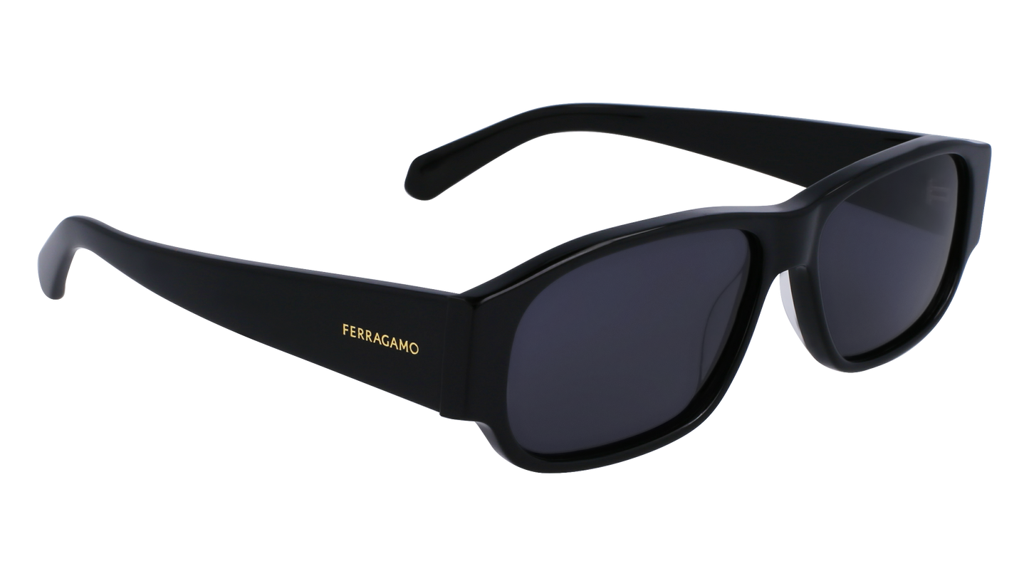 FERRAGAMO Sunglasses SF1109S 1 57