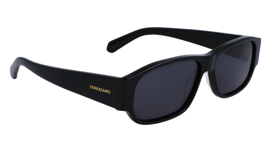 FERRAGAMO Sunglasses SF1109S 1 57