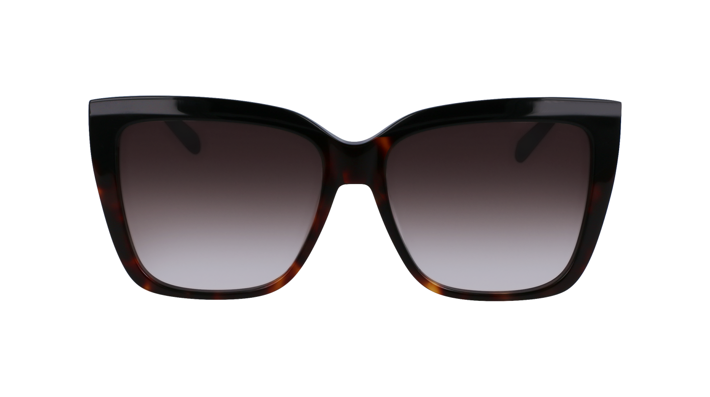 FERRAGAMO Sunglasses SF1102S 6 58