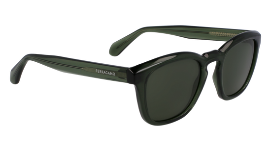 FERRAGAMO Sunglasses SF2040SE 320 50