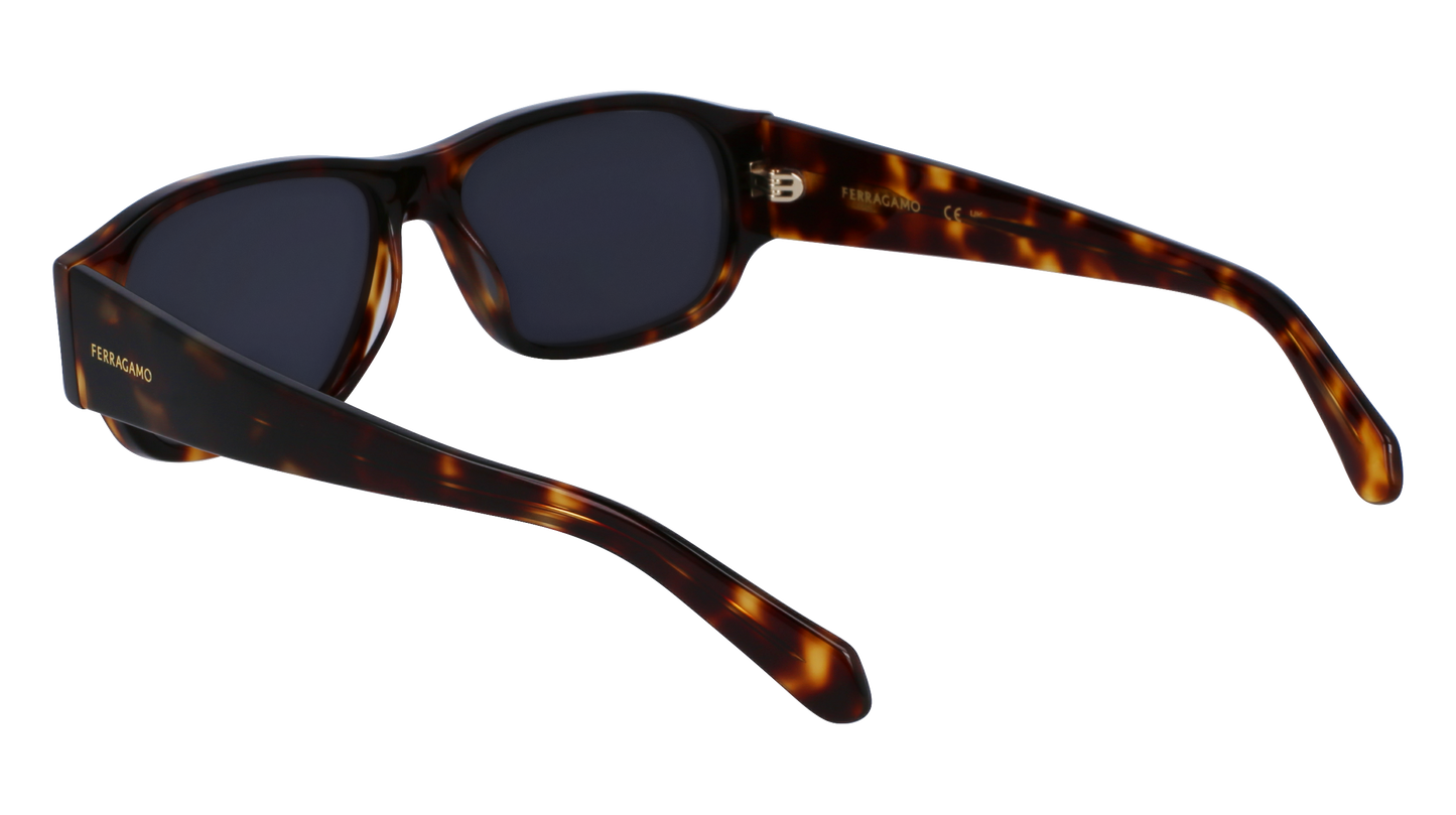 FERRAGAMO Sunglasses SF1109S 242 57