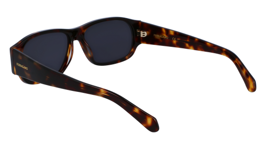 FERRAGAMO Sunglasses SF1109S 242 57