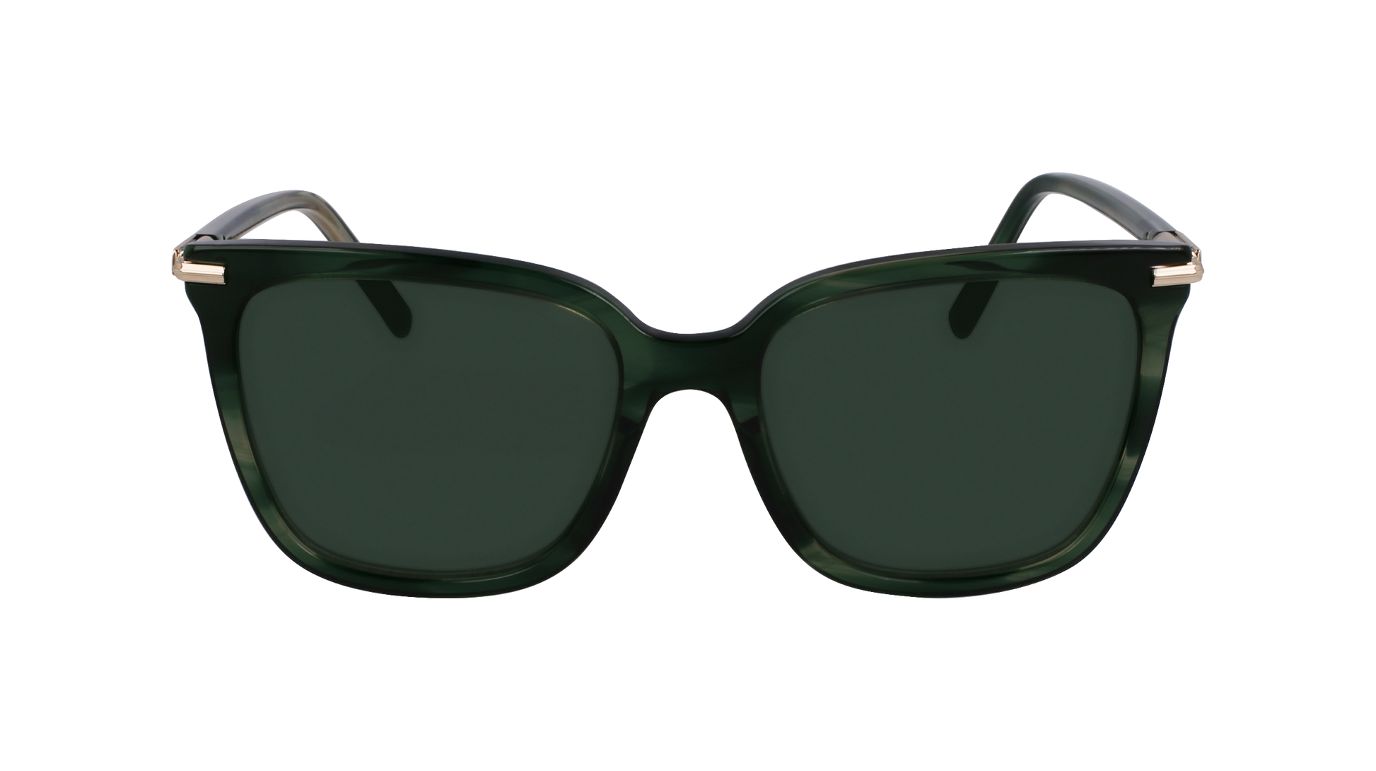 FERRAGAMO Sunglasses SF2037S 315 56