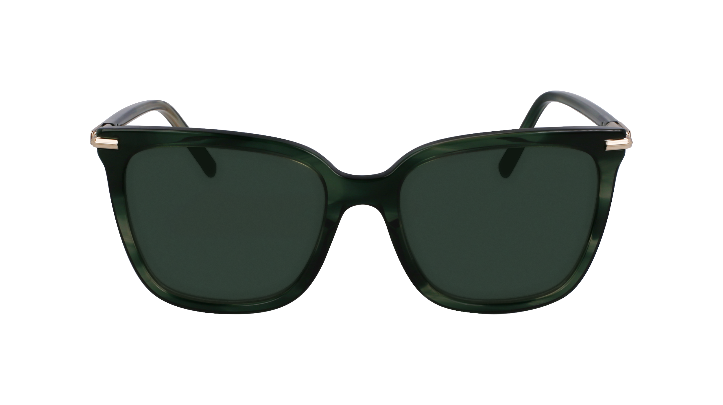 FERRAGAMO Sunglasses SF2037S 315 56