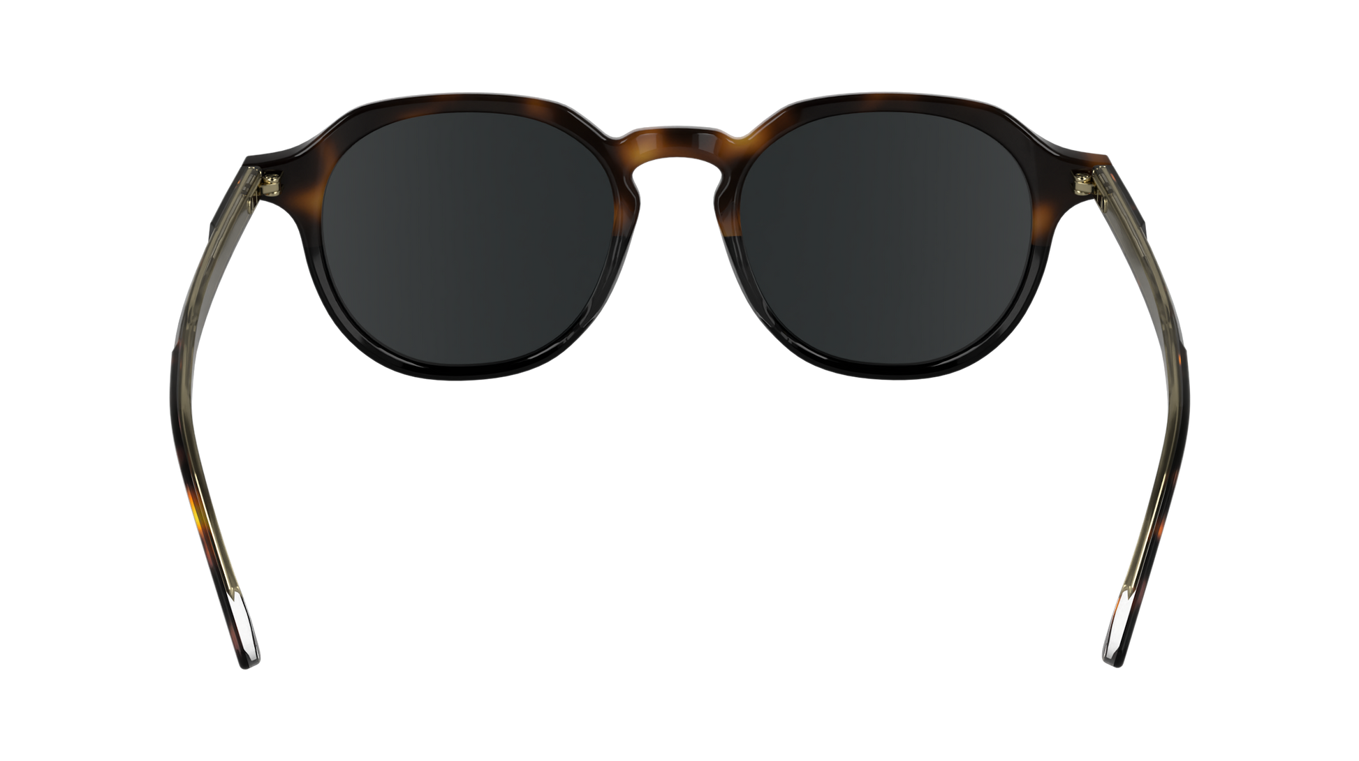 CALVIN KLEIN Sunglasses CK24538S 233 51