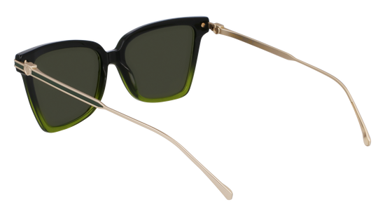 FERRAGAMO Sunglasses SF2036S 316 56