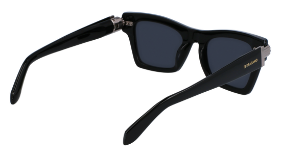 FERRAGAMO Sunglasses SF2013S 1 52